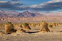 16 death valley, devil's cornfield